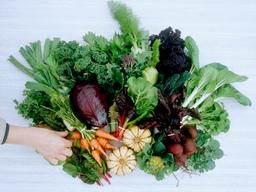 Image of Spring Season - Big Box Weekly (10 Boxes total, beginning April 15th)