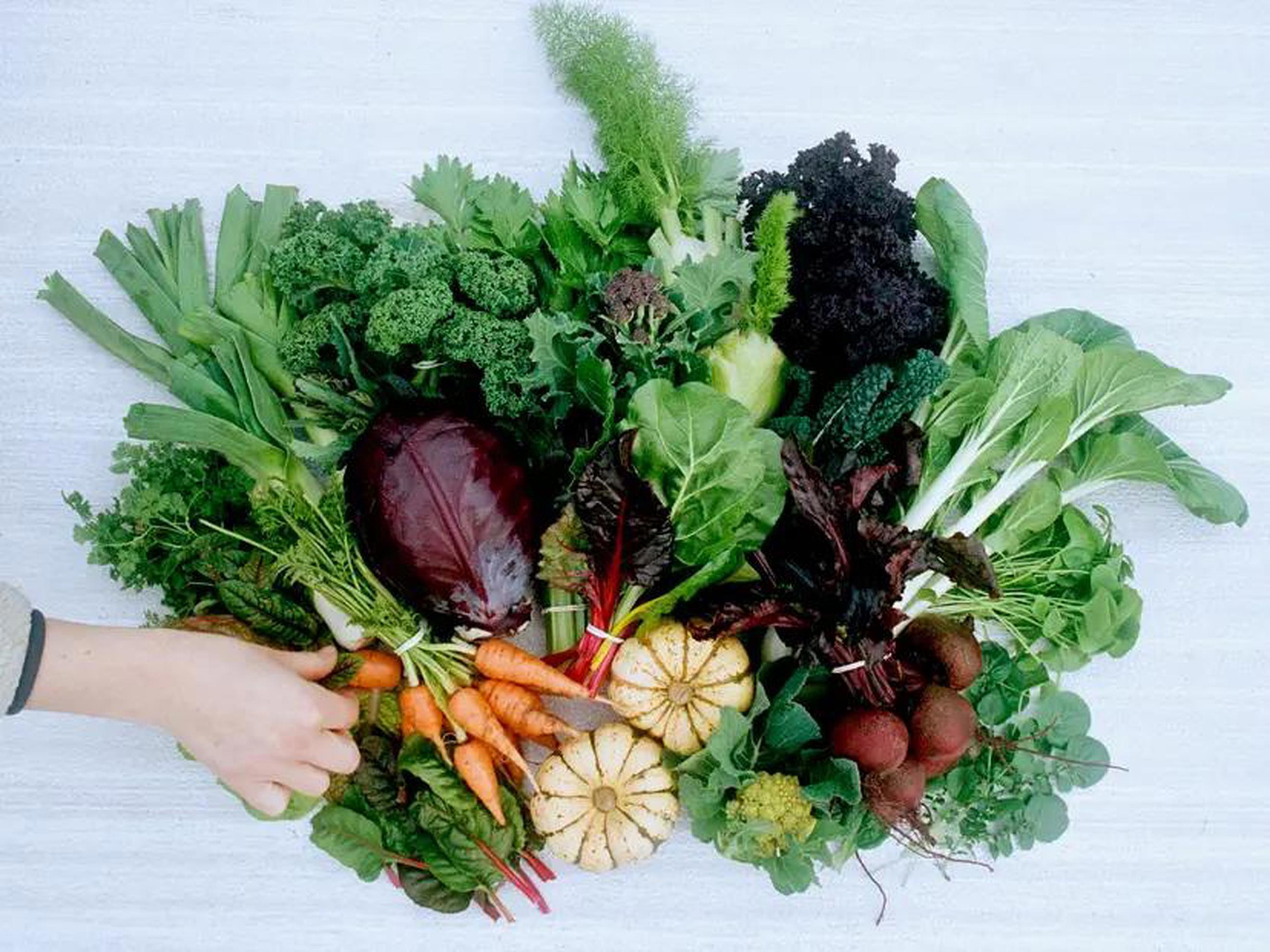 Summer Season - Full Share Fortnightly (9 Boxes total, beginning July 2nd)