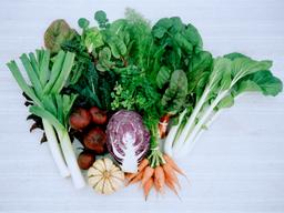 Image of Spring Season - Small Box Fortnightly (5 Boxes total, beginning April 15th)