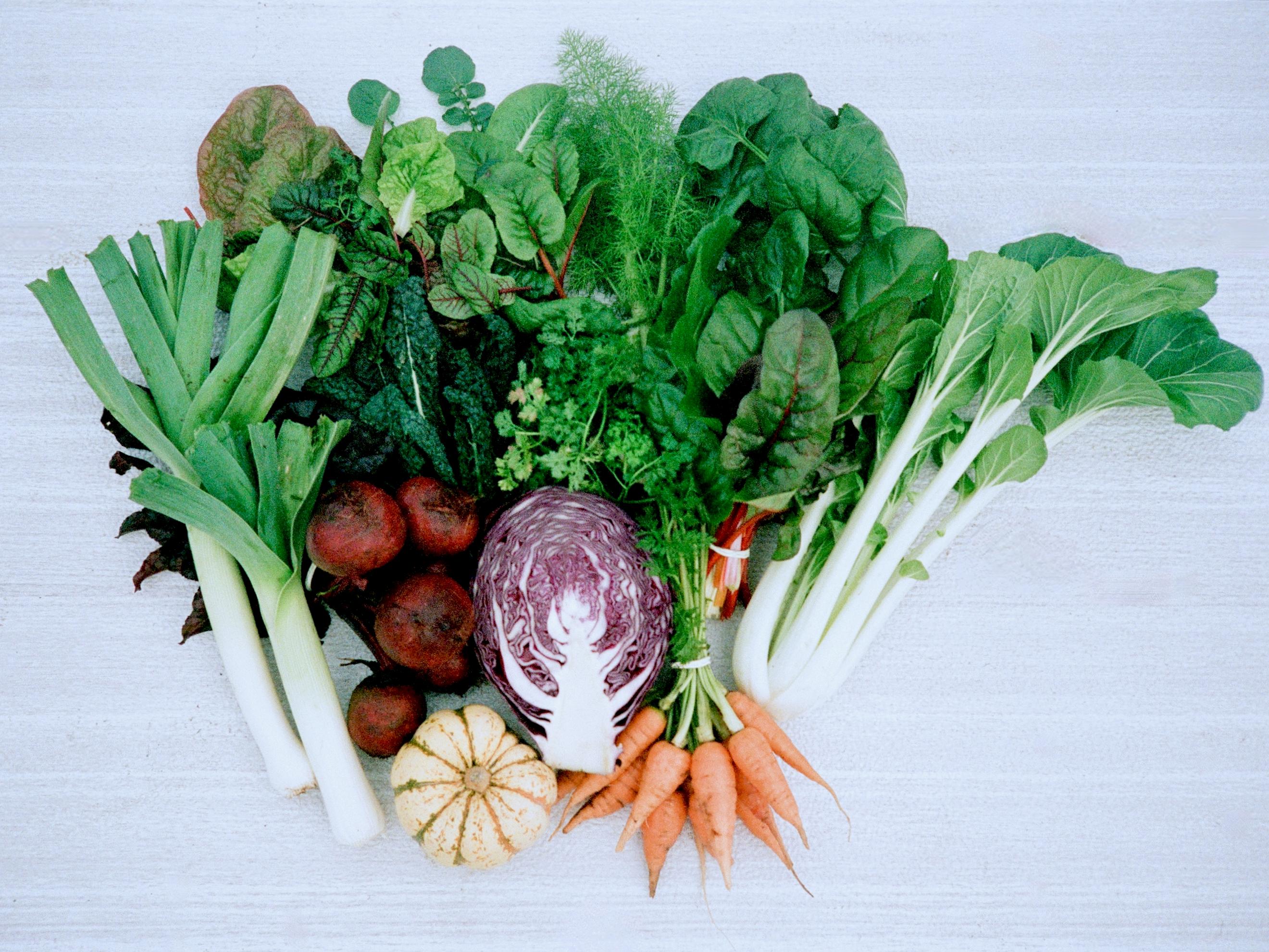 Part Share Seasonal Veg Box- Winter (7 Boxes)
