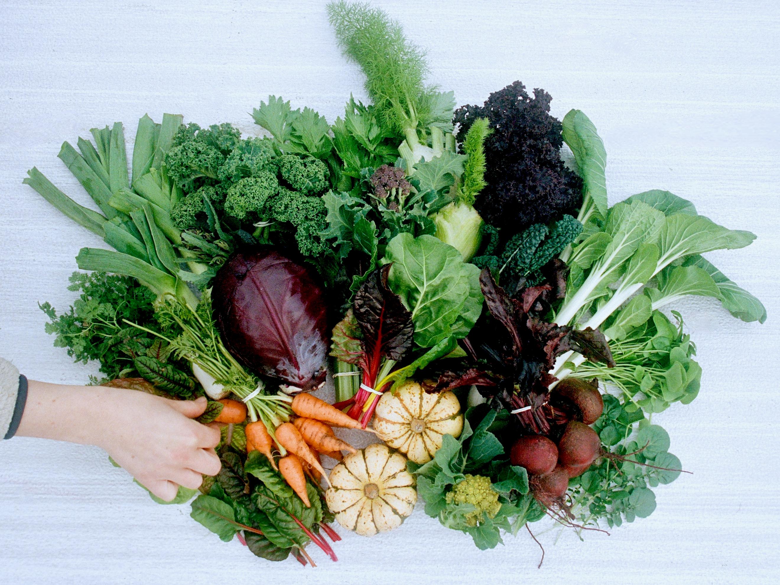 Full Share Seasonal Veg Box- Winter (Fortnightly 4 Boxes)